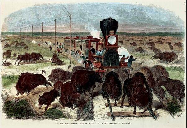 he_Far_West_Shooting_Buffalo_on_Line_of_the_Kansas_Pacific_Railroad_by_Ernest_Griset_from_Frank_Leslie_s_Illustrated_Newspaper_June_3_1871.